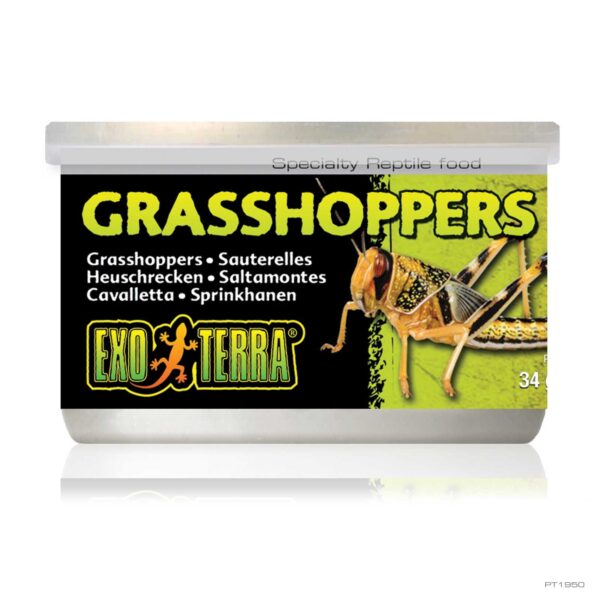 EXO TERRA GRASSHOPPERS 34G