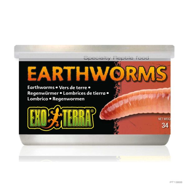 EXO TERRA EARTHWORMS 34G