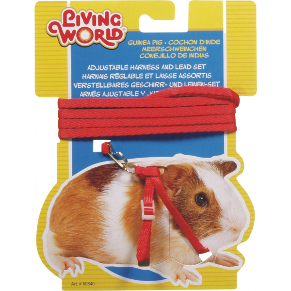 Living World Guinea Pig Harness/lead Set - Red