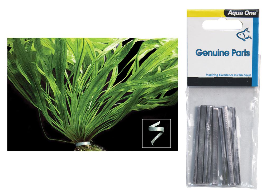 PLANT WEIGHT 6CM 10PK