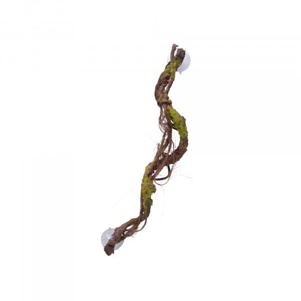 Eco Tech Vines With Lichen Moss 60cm