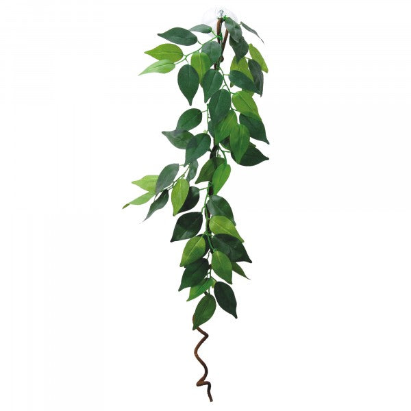 Eco Tech Vine With Ficus 60cm