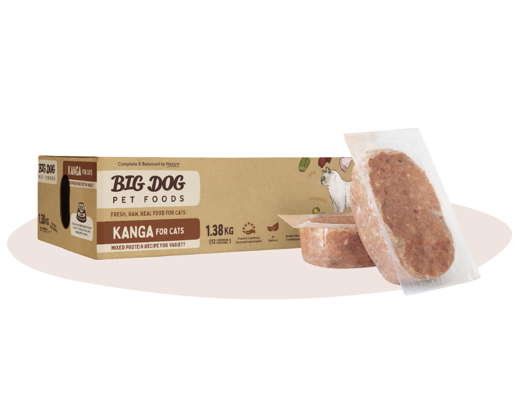 Big Dog Kanga For Cats 1.38kg