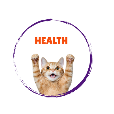 Cat Health & Wellbeing