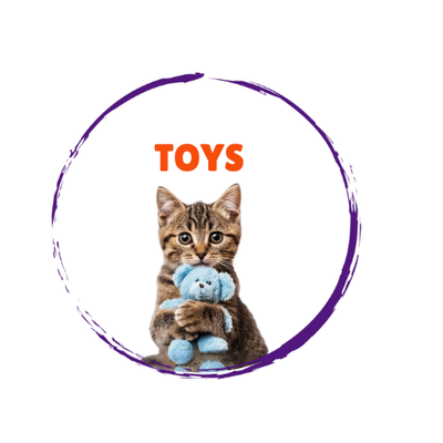 Cat Toys