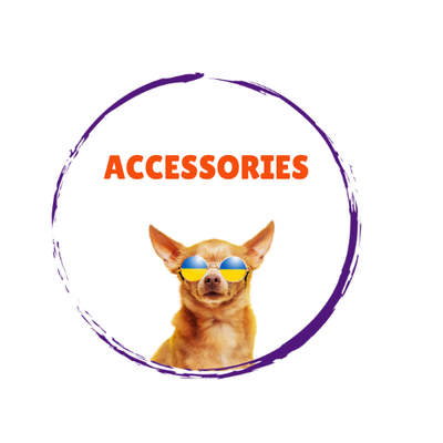 Dog Accessories