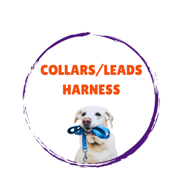 Dog Collars/Leads/Harnesses
