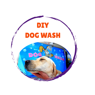 DIY Dog Wash