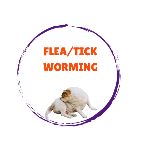 Dog Flea/Tick/Worming