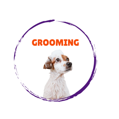 Dog Grooming