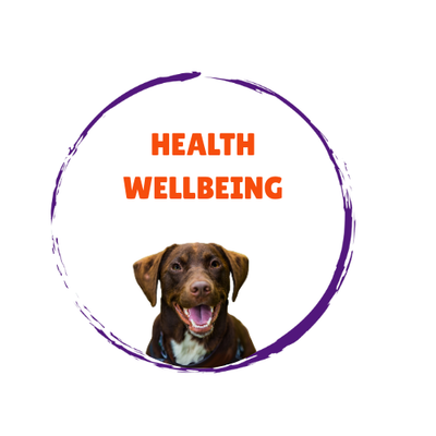 Dog Health Wellbeing