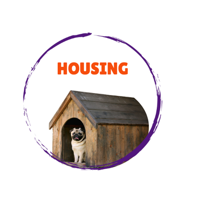 Dog Housing