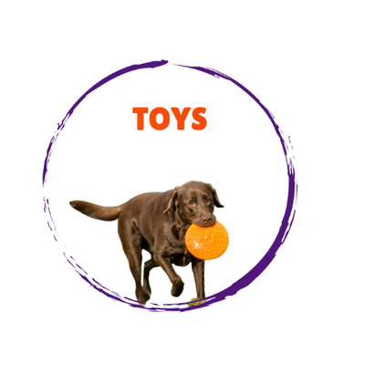 Dog Toys