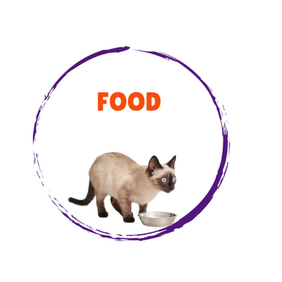 Cat Food