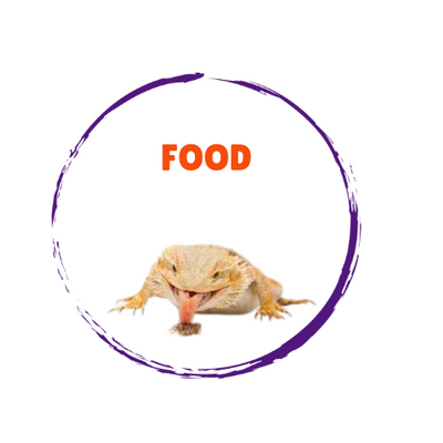 Reptile Food