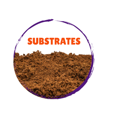 Reptile Substrate