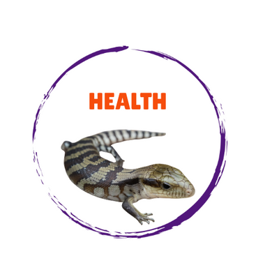 Reptile Health