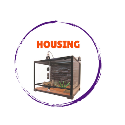 Reptile Housing