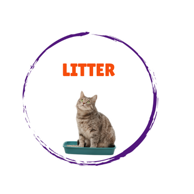 Cat Litter