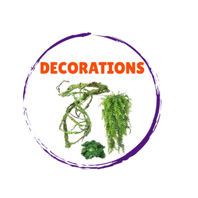 Reptile Decoration