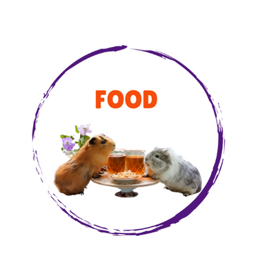 Small Animal Food