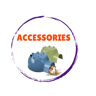 Small Animal Accessories
