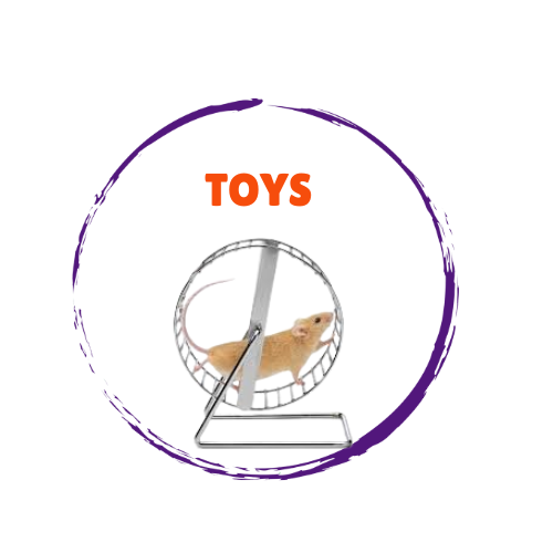 Small Animal Toys
