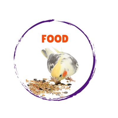 Bird Food