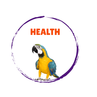 Bird Health