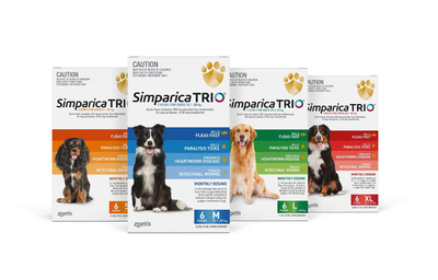 Simparica Trio