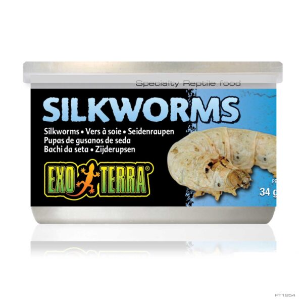 EXO TERRA SILKWORMS 34GM