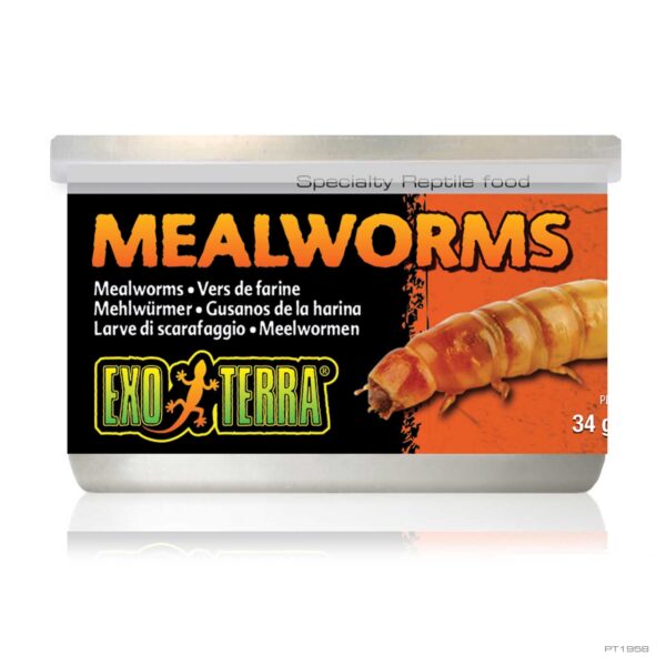 EXO TERRA MEALWORMS 34G