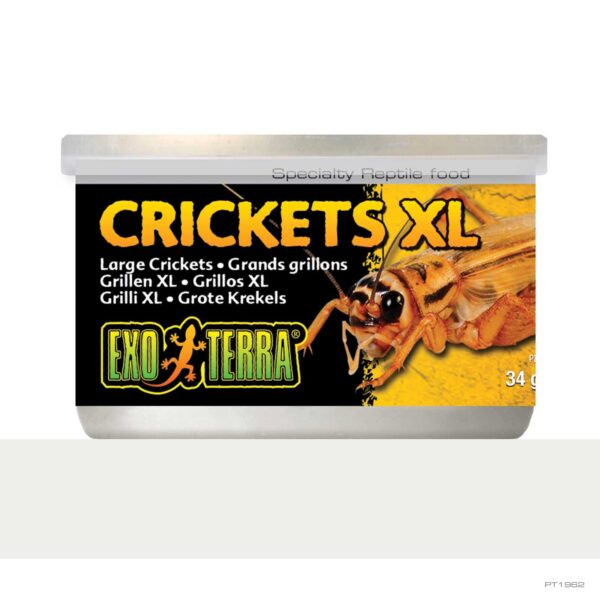 EXO TERRA CRICKETS XL 34G