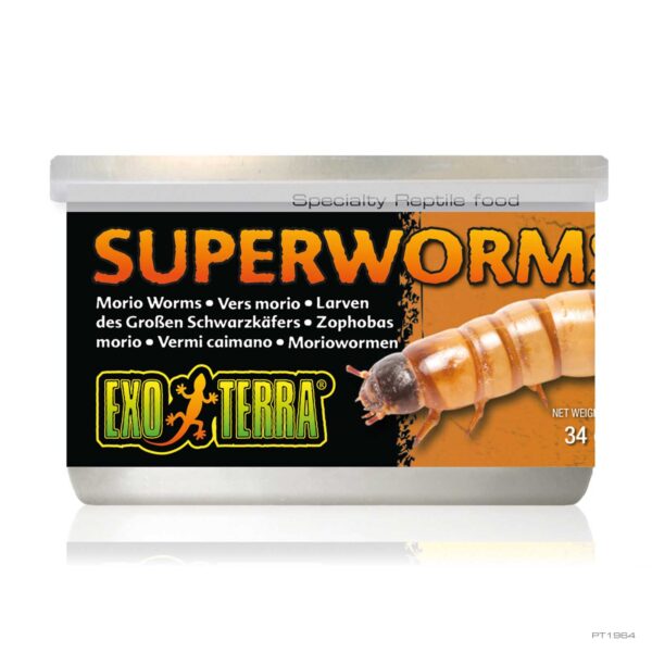 EXO TERRA SUPERWORMS 34G