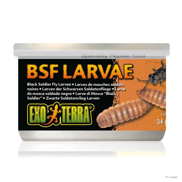 EXO TERRA BLACK SOLDIER FLY LARVAE 34G