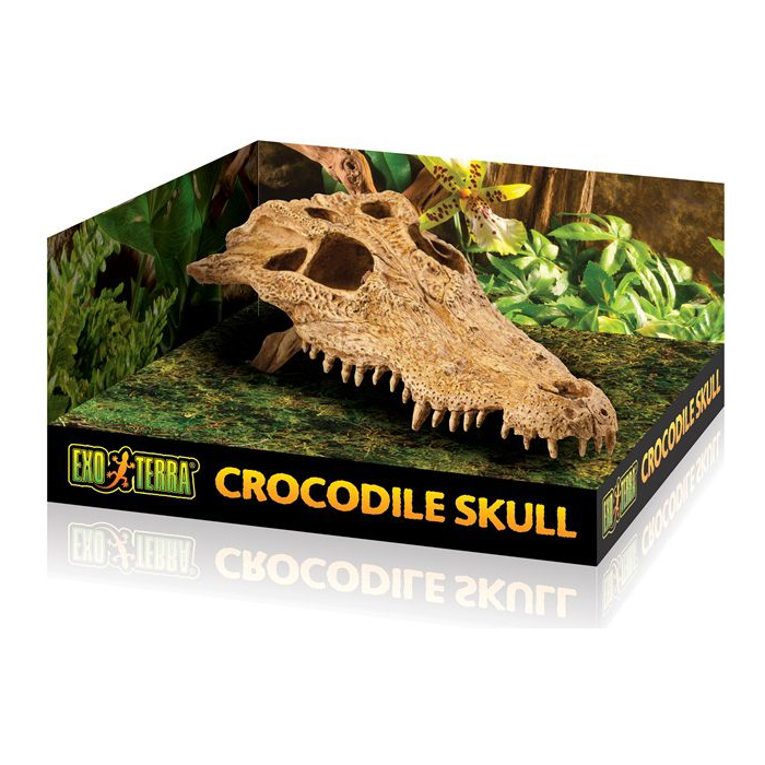 EXO TERRA CROC SKULL MEDIUM