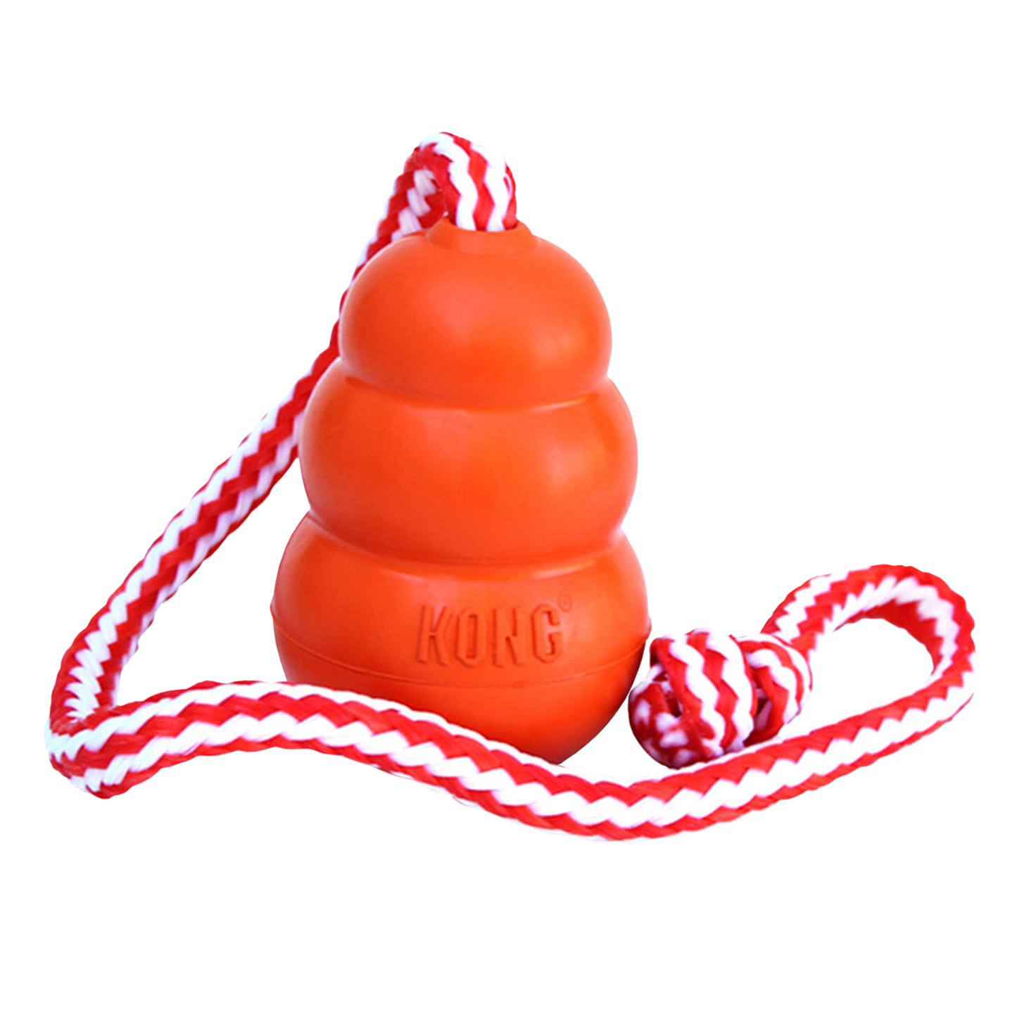 Kong Aqua [sz:medium]
