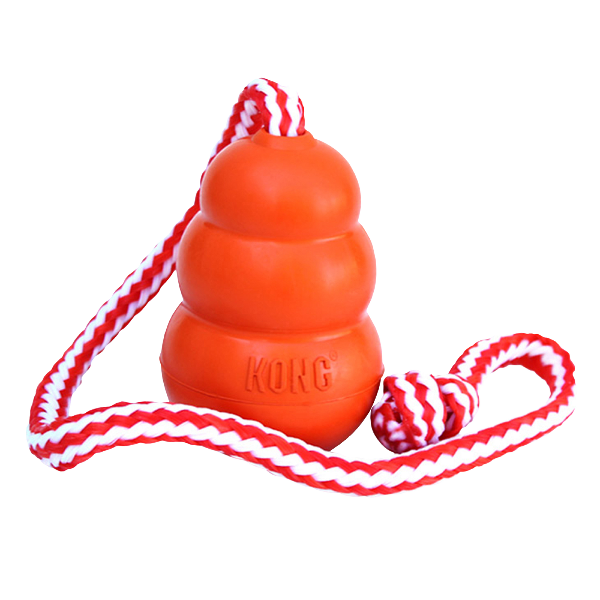 Kong Aqua [sz:medium]