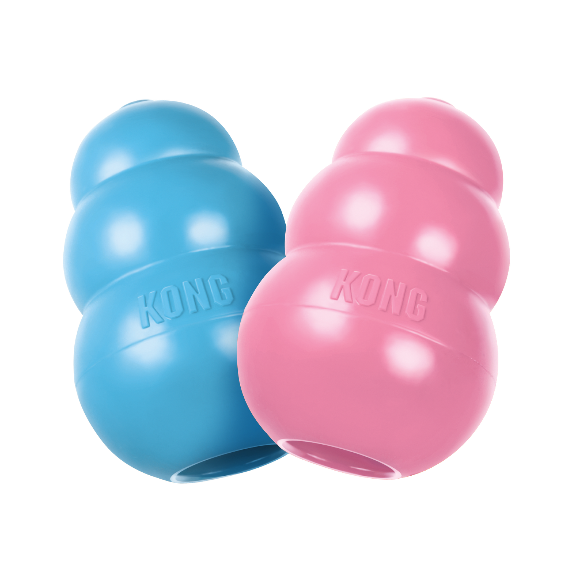 Kong Puppy [sz:small]