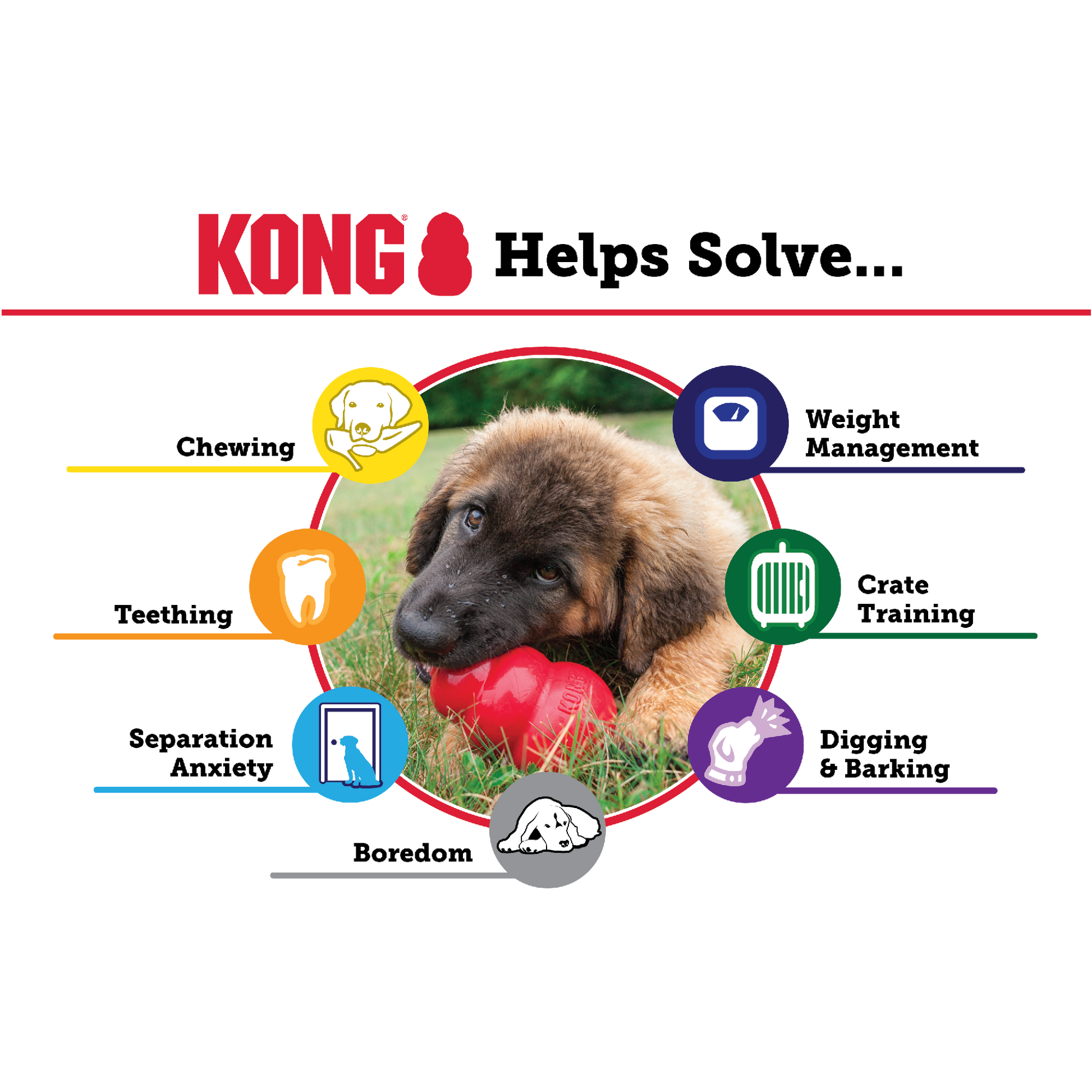 Kong Puppy [sz:small]