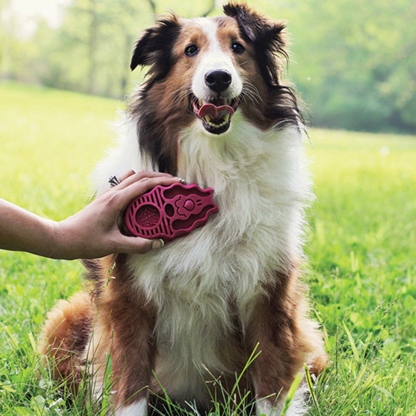 Kong Zoomgroom Rasberry