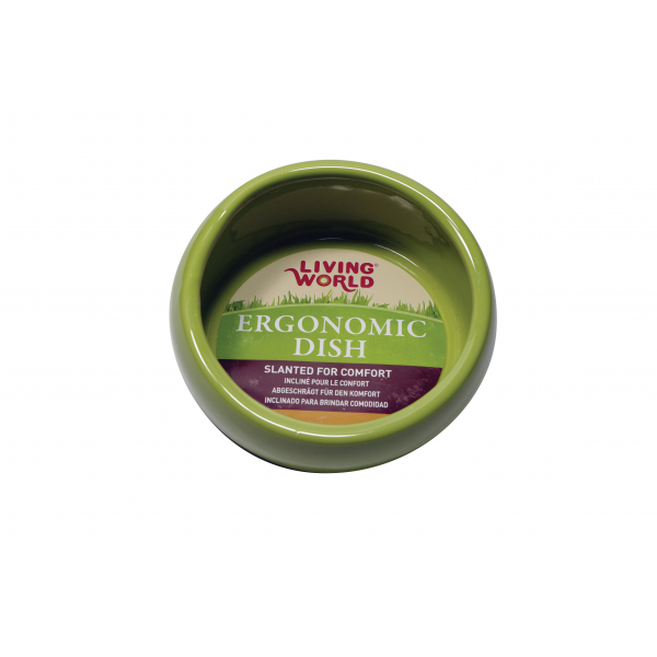 Living World Ceramic Ergonomic Pet Dish Sml Green