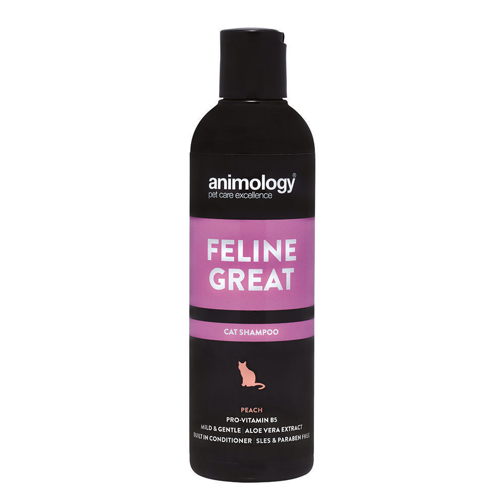 ANIMOLOGY FELINE GREAT SHAMPOO 250ML