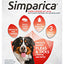 Simparica 40.1-60kg [sz:3 Pack]