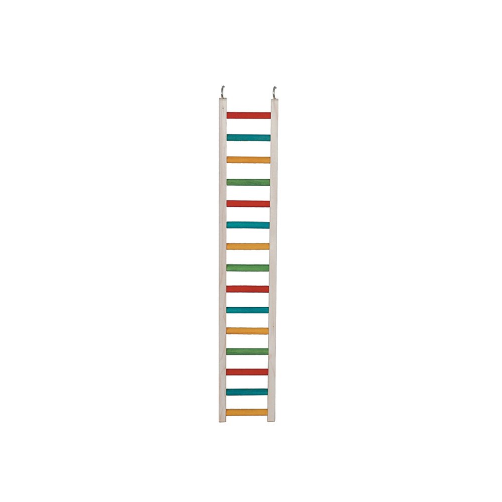 PARROT LADDER 24INCH 