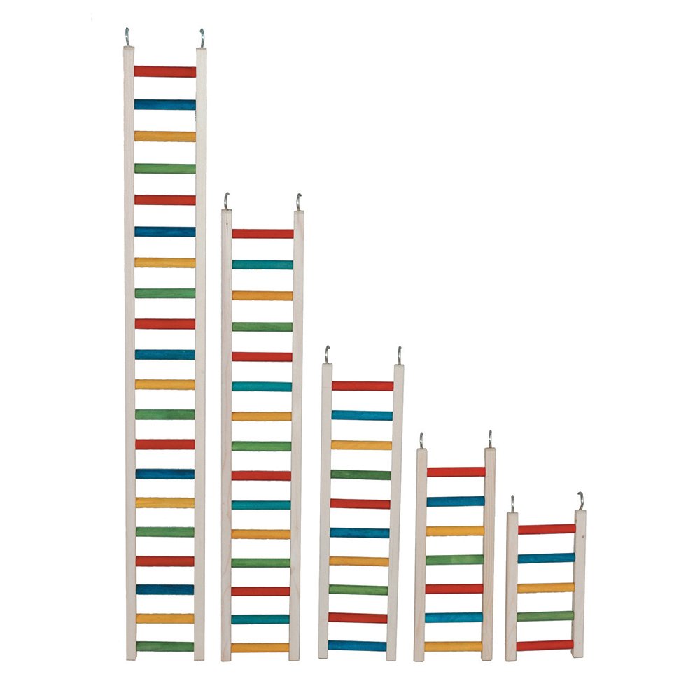PARROT LADDER 24INCH 