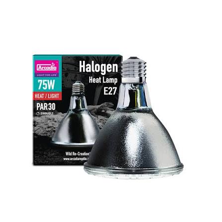 ARCADIA HALOGEN 75W