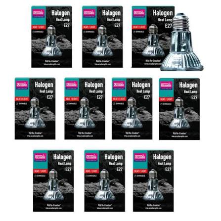 ARCADIA HALOGEN 100W