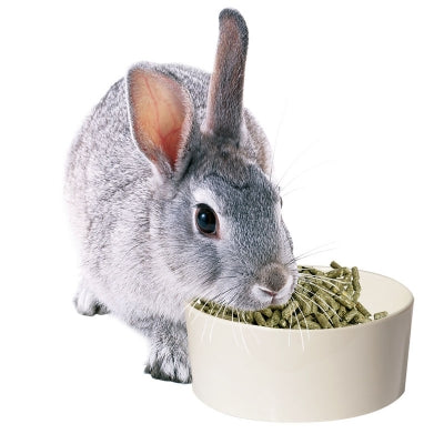 BOWL MELAMINE SMALL ANIMAL 13CM 