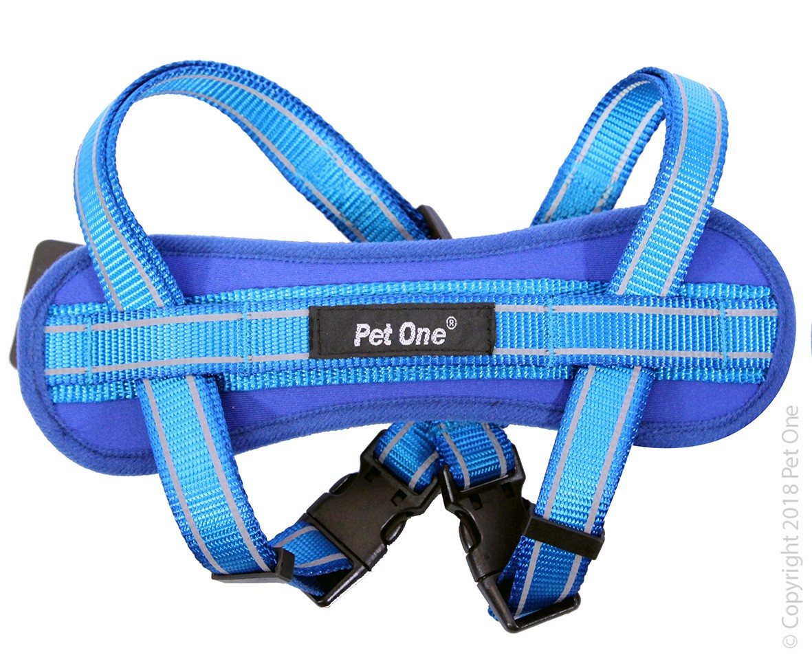Pet One Reflective Padded Harness Blue [sz:37 - 60cm]